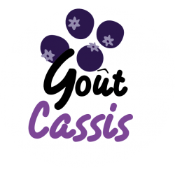 Goût cassis