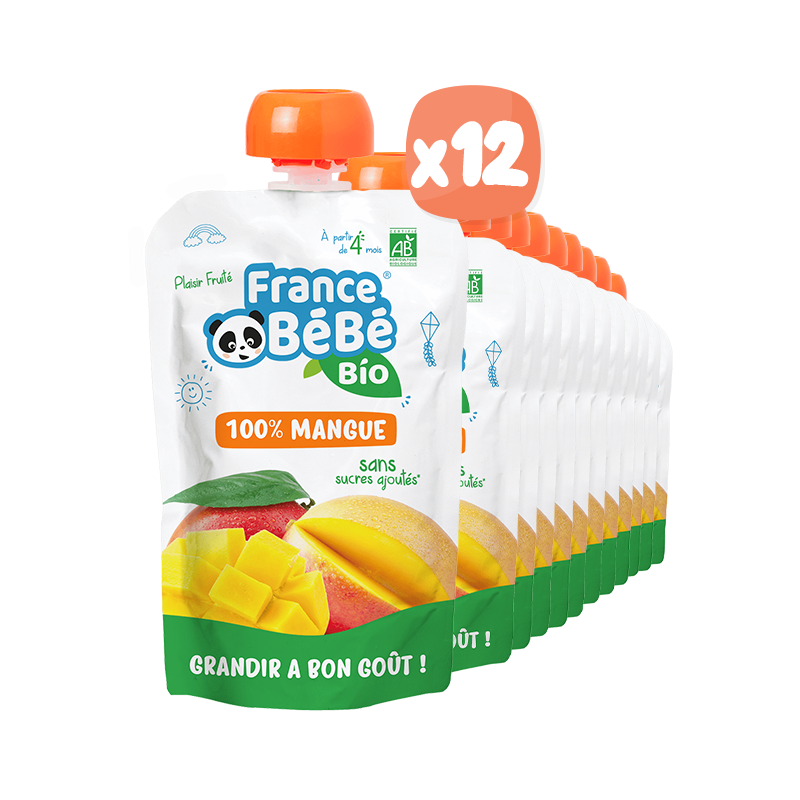 Good Goût - Gourde de fruit : mangue - 120 g - dès 4 mois - Sebio