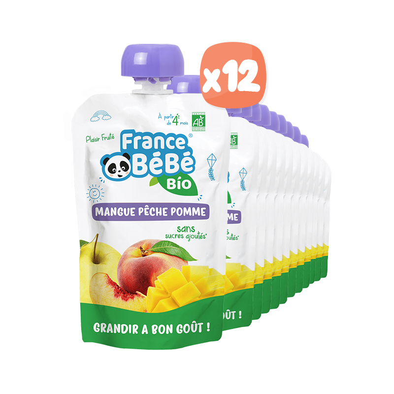 Gourdes Mangue Pêche Pomme bio x12