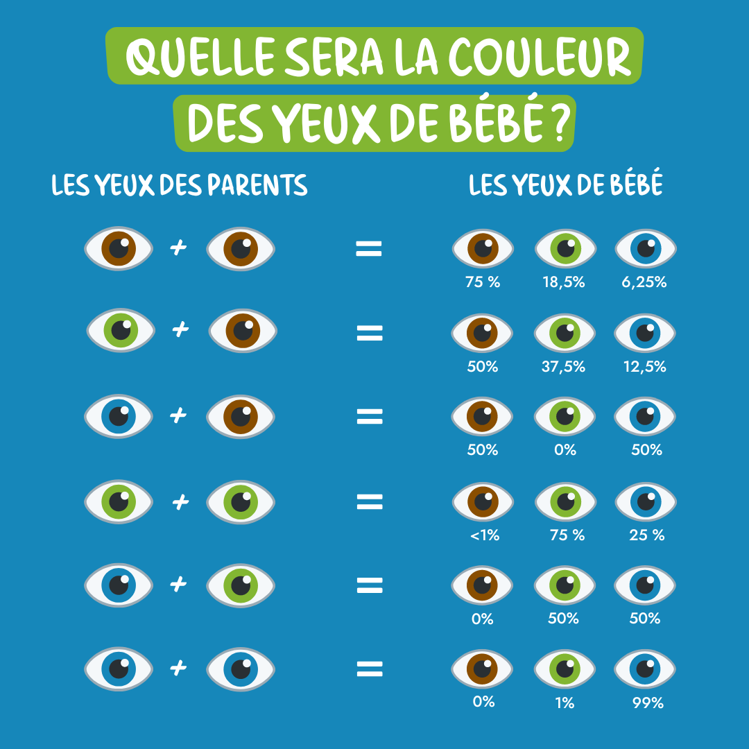 couleurs des yeux