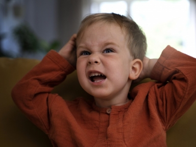 Comment reconnaître le Terrible Two ?